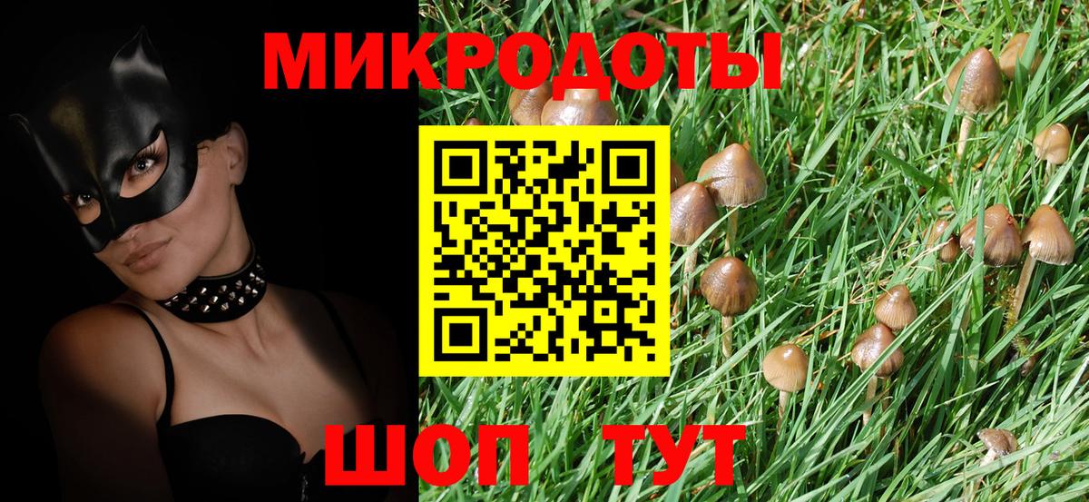 Галлюциногенные грибы Cubensis  Вход с VPN  Камышин  Псилоцибиновые грибы Psilocybine cubensis 
